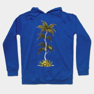 Serene Palm Majesty Hoodie